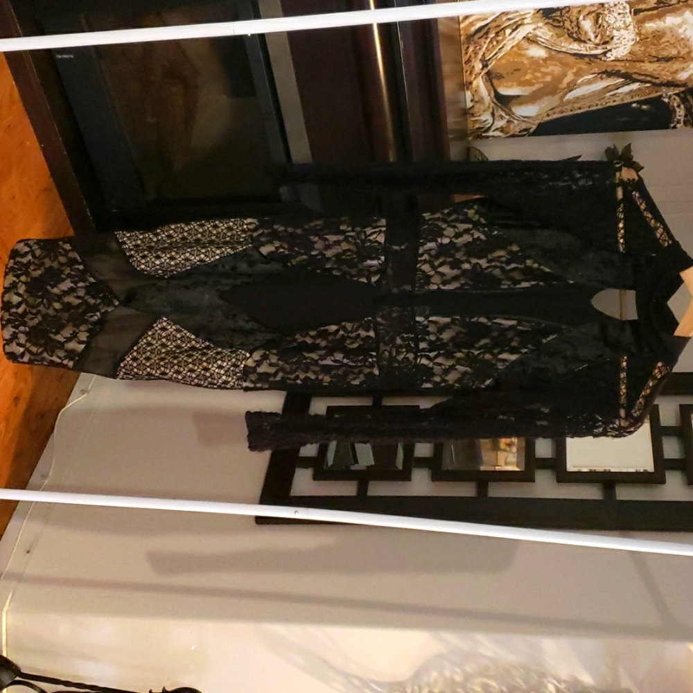 Lace and Nude long steave LBD